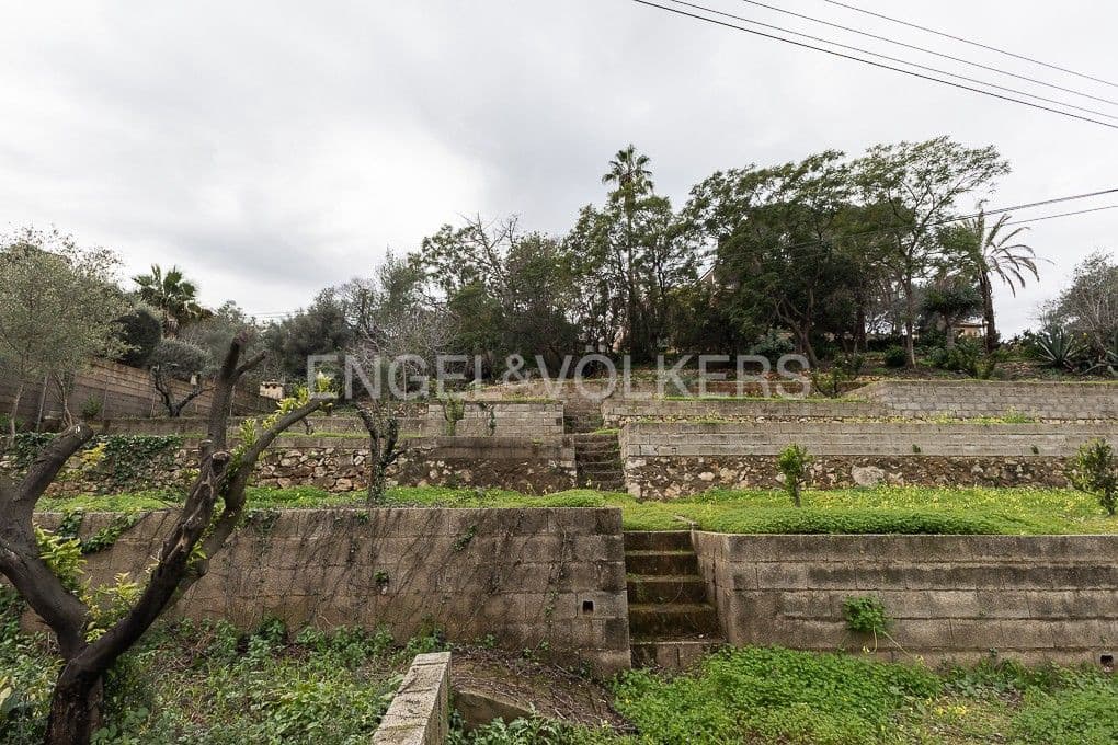 Terrain à Bâtir à vendre à Alzira - 345 000 € (Ref: 9079871)