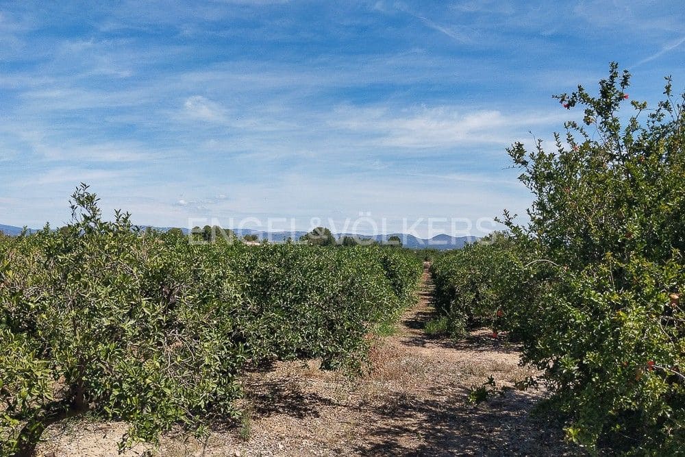 Tontti myytävänä paikassa Lliria - 137 000 € (Ref: 9079884)