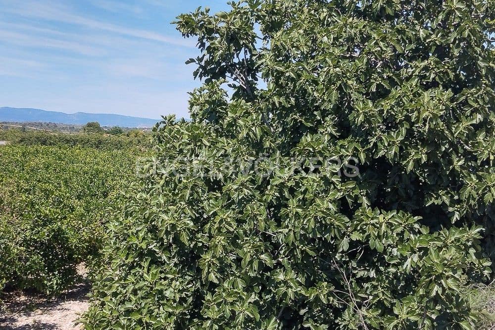 Tontti myytävänä paikassa Lliria - 137 000 € (Ref: 9079884)