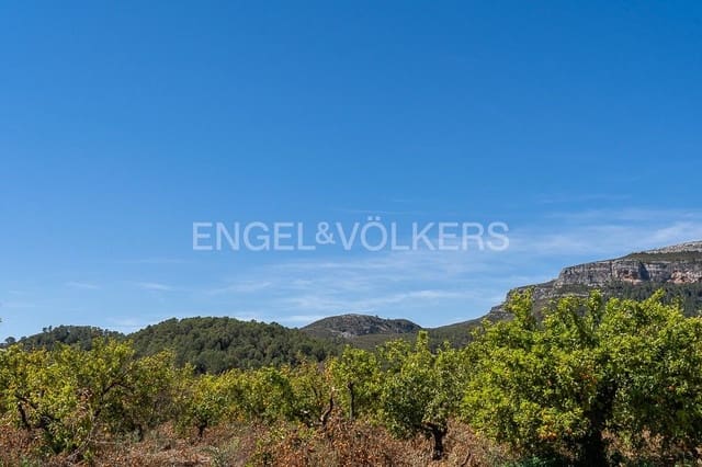 Building Plot for sale in Palma de Gandía - € 130,000 (Ref: 9079885)