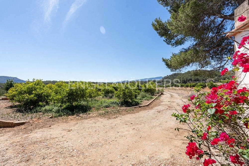 Building Plot for sale in Palma de Gandia - € 130,000 (Ref: 9079885)