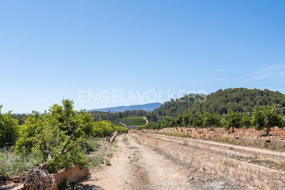Building Plot for sale in Palma de Gandia - € 130,000 (Ref: 9079885)