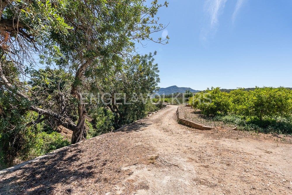 Building Plot for sale in Palma de Gandia - € 130,000 (Ref: 9079885)