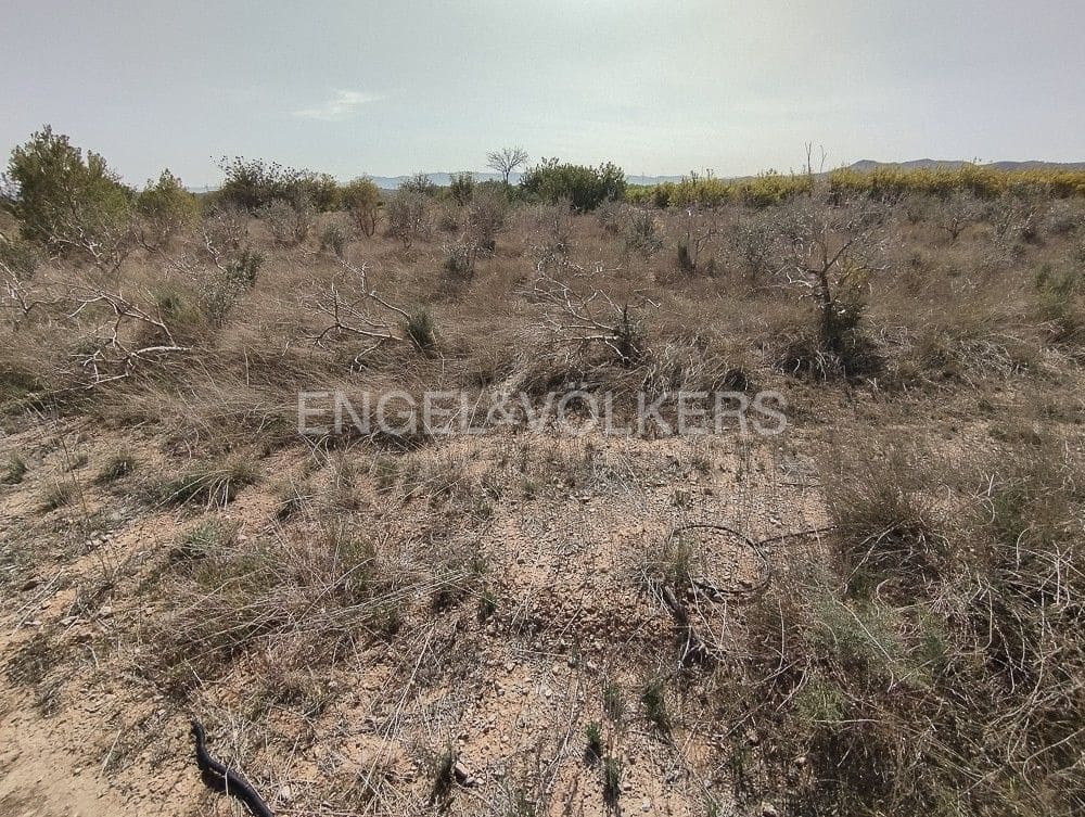 Building Plot for sale in Domeno - € 172,900 (Ref: 9079887)