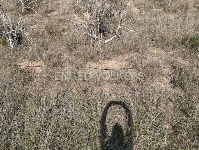 Building Plot for sale in Domeño - € 172,900 (Ref: 9079888)