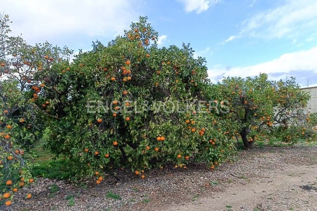 Tontti myytävänä paikassa Les Bassetes - El Marjal, Dénia - 128 000 € (Ref: 9079897)