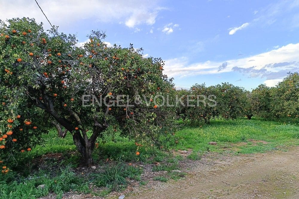 Terrain à Bâtir à vendre à Denia - 128 000 € (Ref: 9079897)