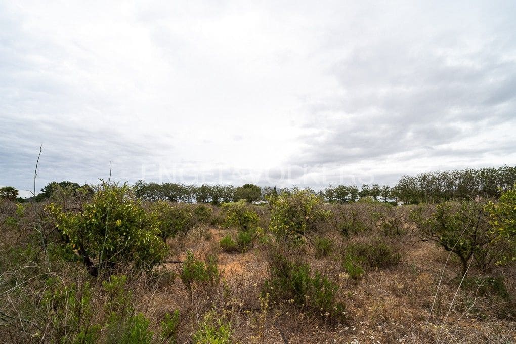 Area Edificabile in vendita in Ondara - 295.000 € (Rif: 9079898)