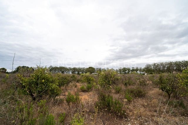 Area Edificabile in vendita in Ondara - 295.000 € (Rif: 9079898)