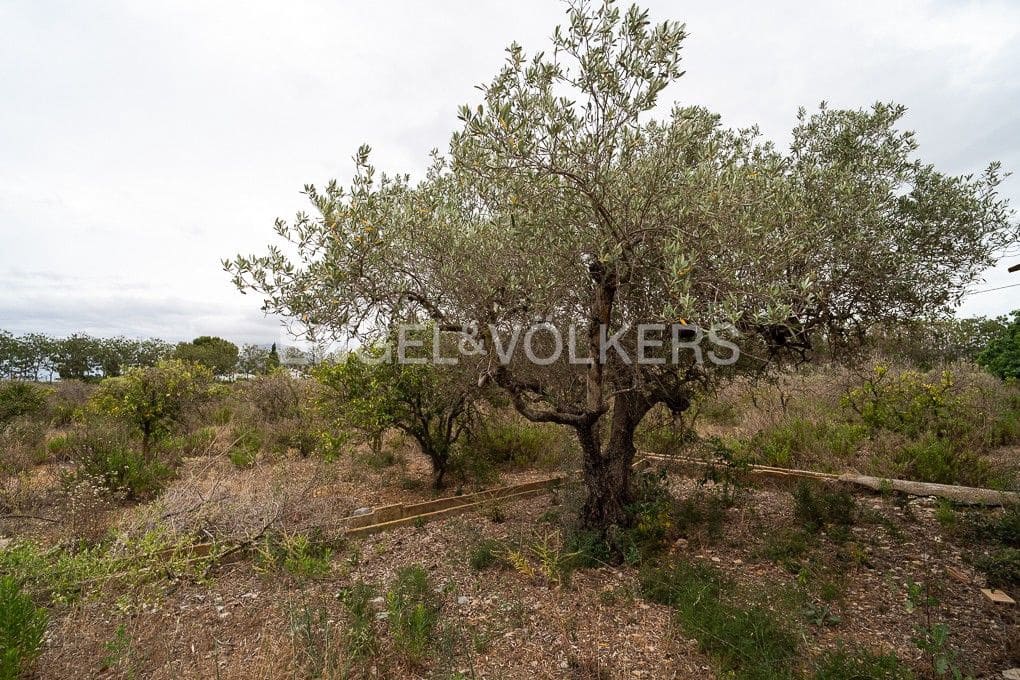 Area Edificabile in vendita in Ondara - 295.000 € (Rif: 9079898)