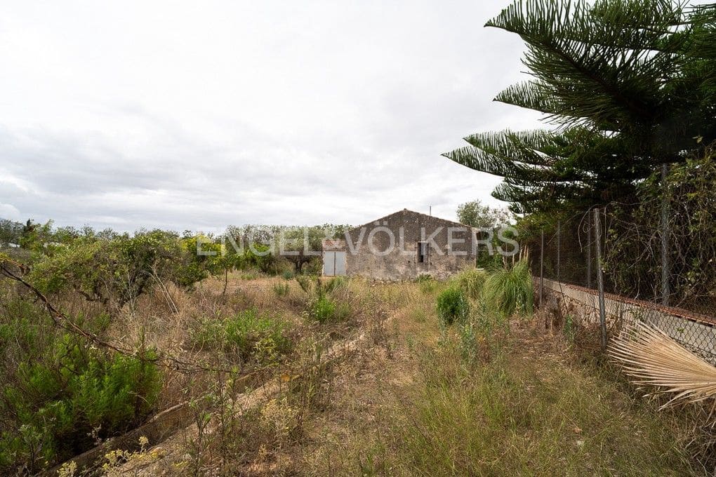 Area Edificabile in vendita in Ondara - 295.000 € (Rif: 9079898)
