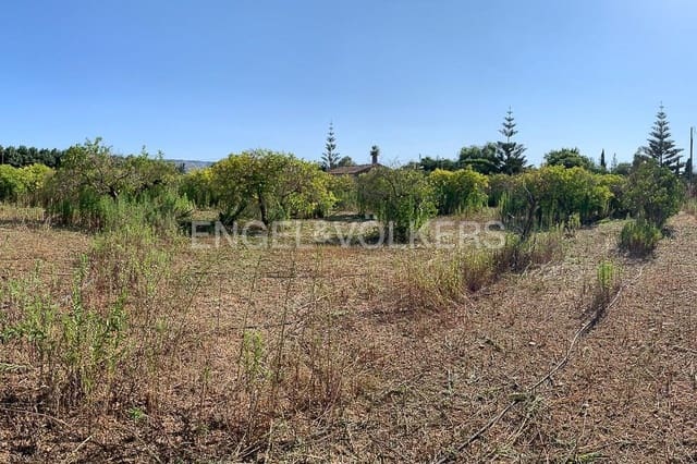 Area Edificabile in vendita in Ondara - 295.000 € (Rif: 9079898)