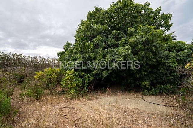 Area Edificabile in vendita in Ondara - 295.000 € (Rif: 9079898)