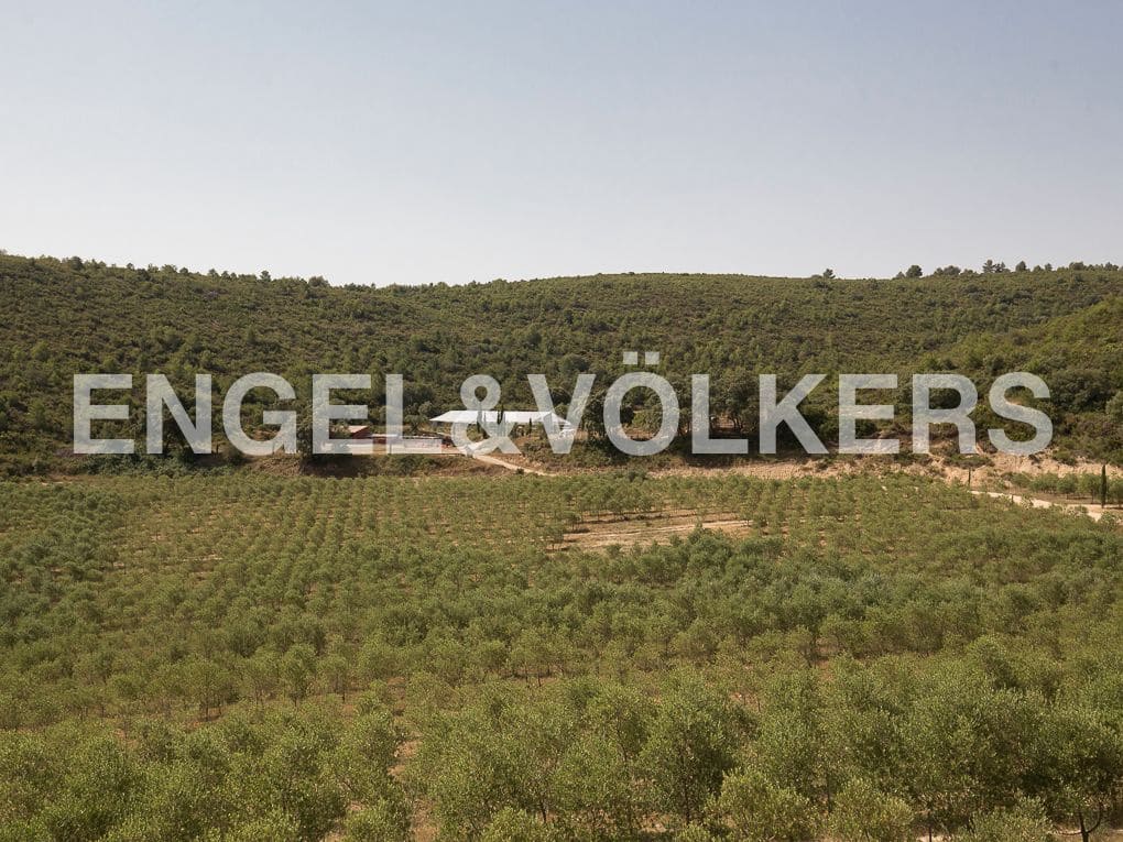 4 bedroom Finca/Country House for sale in Enguera with pool garage - € 1,350,000 (Ref: 9080117)