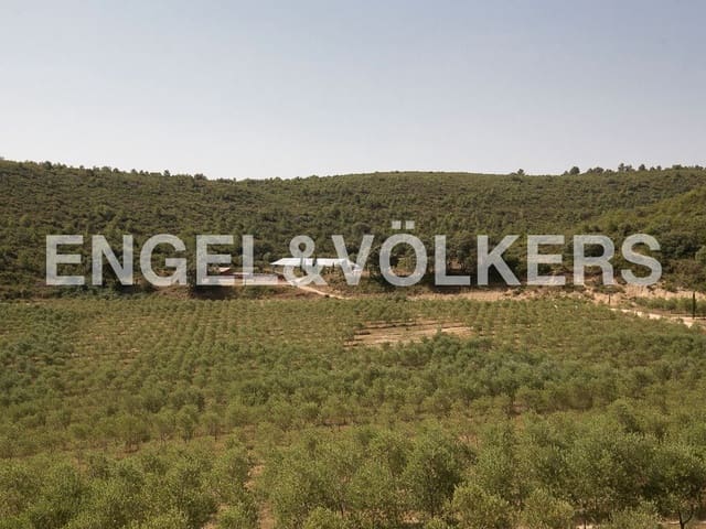 4 bedroom Finca/Country House for sale in Enguera with pool garage - € 1,350,000 (Ref: 9080117)