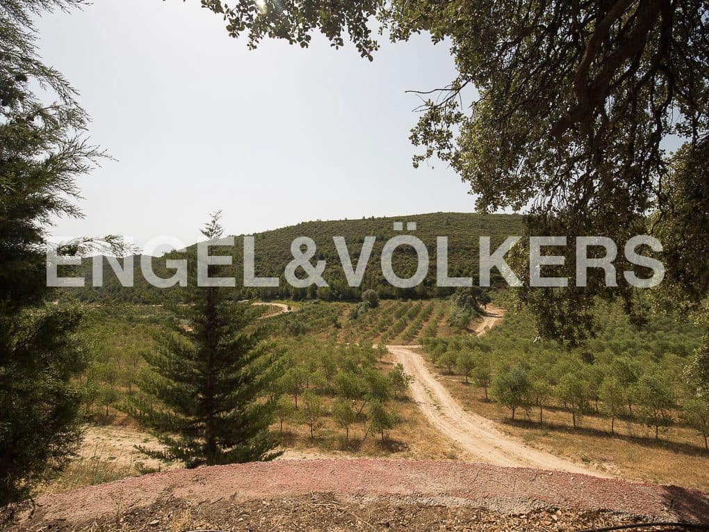 4 bedroom Finca/Country House for sale in Enguera with pool garage - € 1,350,000 (Ref: 9080117)