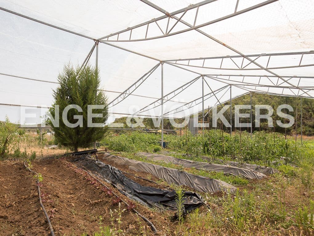 4 bedroom Finca/Country House for sale in Enguera with pool garage - € 1,350,000 (Ref: 9080117)