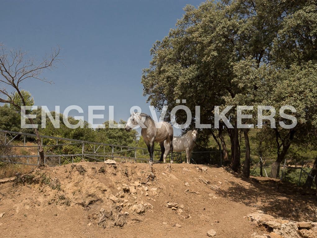 4 bedroom Finca/Country House for sale in Enguera with pool garage - € 1,350,000 (Ref: 9080117)
