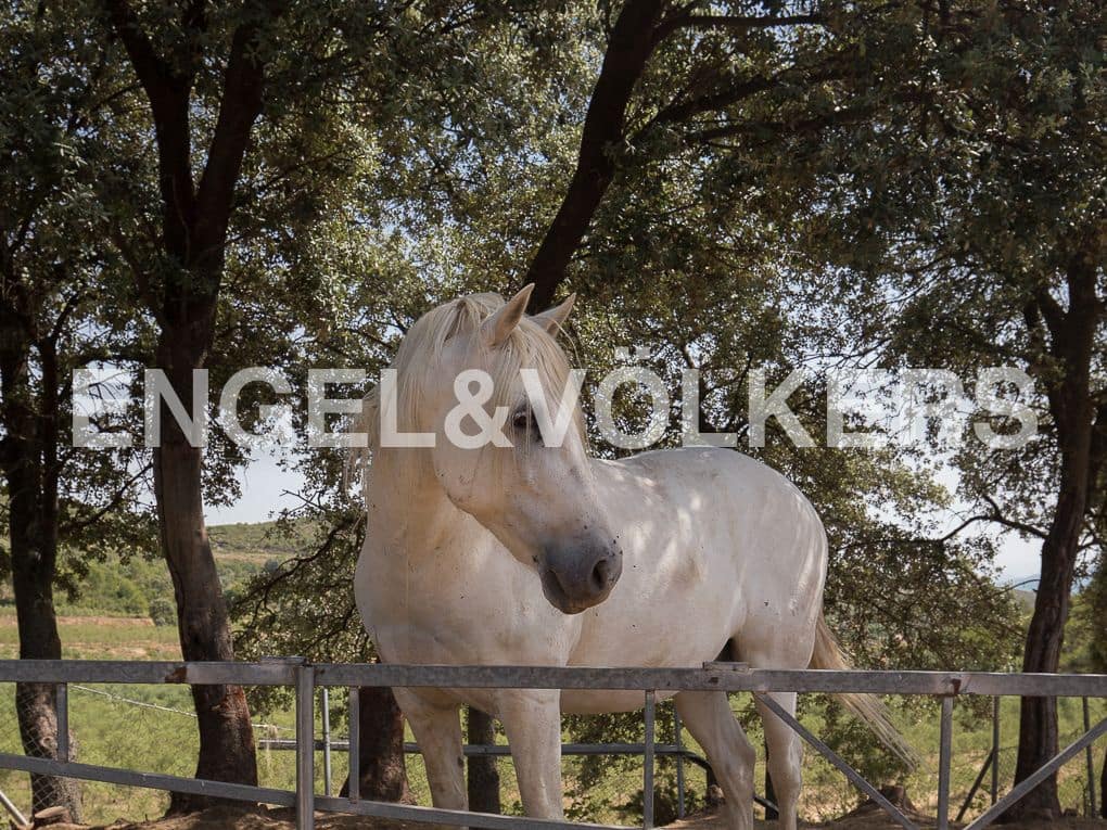4 bedroom Finca/Country House for sale in Enguera with pool garage - € 1,350,000 (Ref: 9080117)