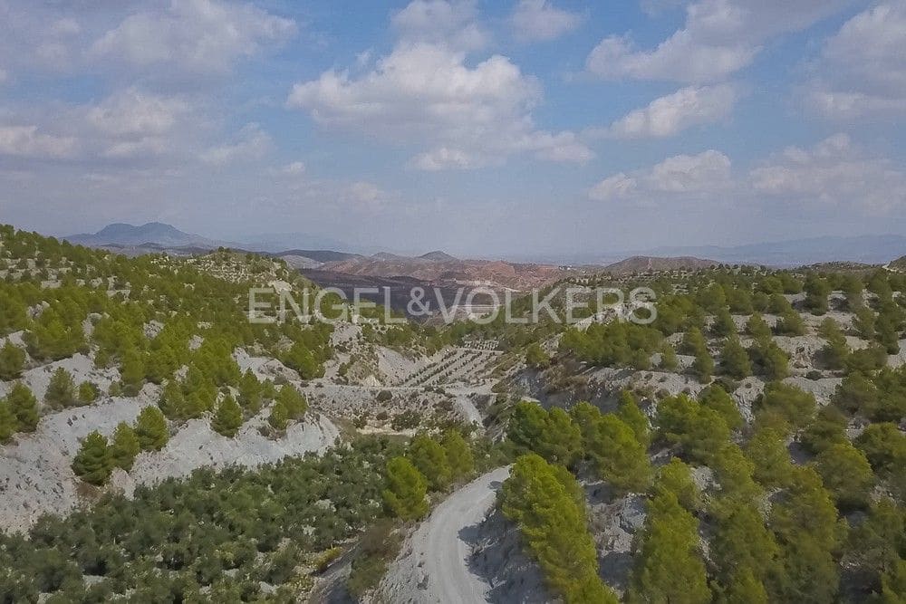 6 bedroom Finca/Country House for sale in Puerto Lumbreras with pool garage - € 2,600,000 (Ref: 9080441)