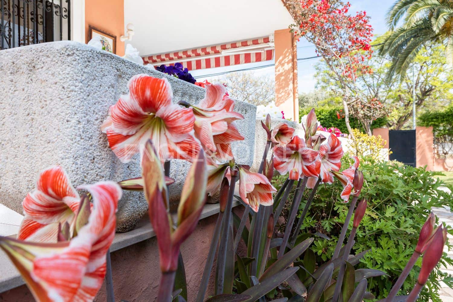 5 soverom Villa til salgs i Benicassim med svømmebasseng - € 550 000 (Ref: 9080503)