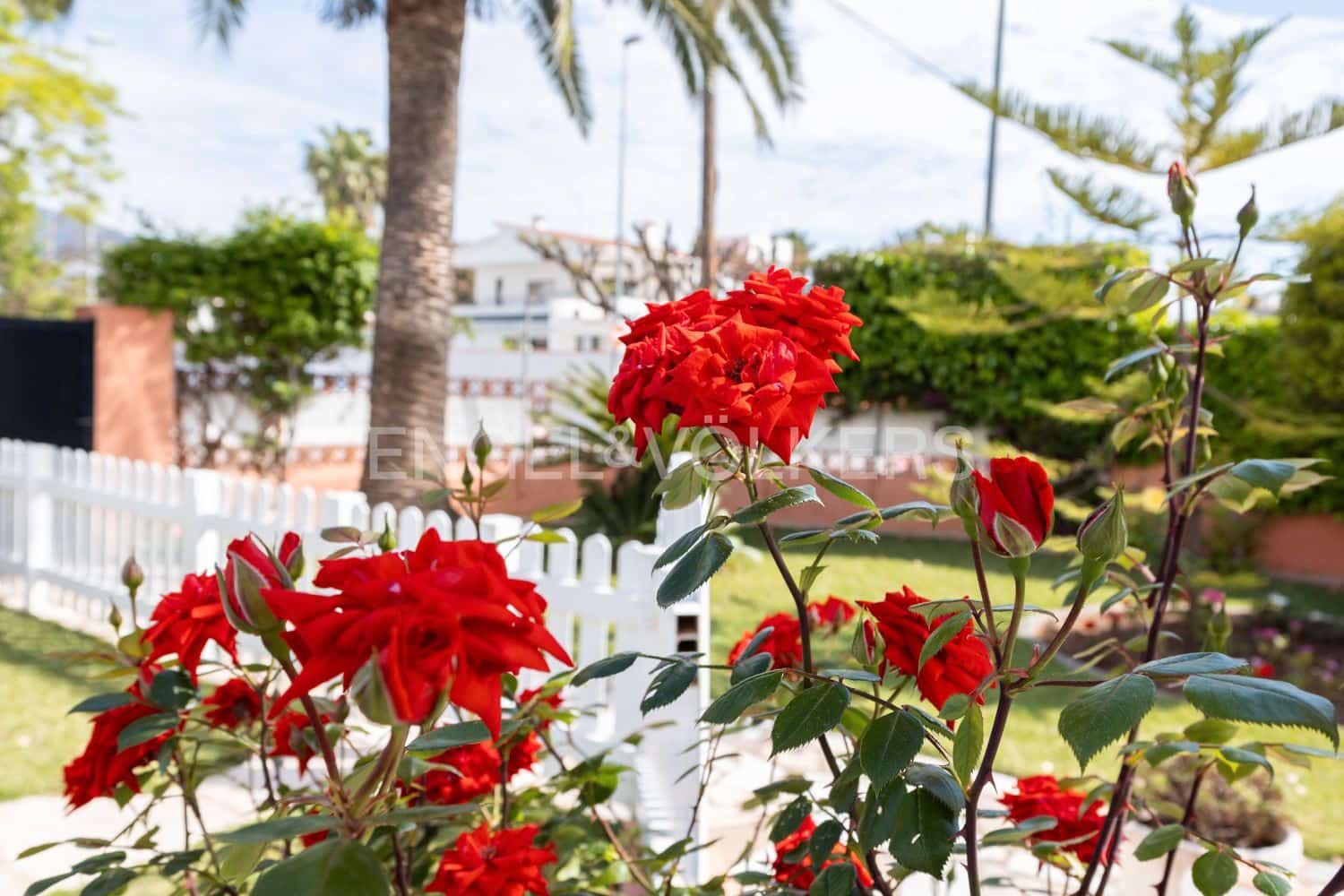 5 soverom Villa til salgs i Benicassim med svømmebasseng - € 550 000 (Ref: 9080503)