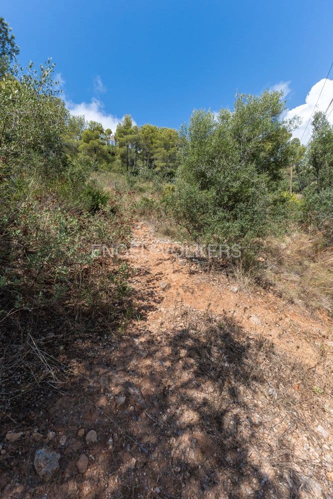 Terrain à Bâtir à vendre à Oropesa  - 129 000 € (Ref: 9144916)