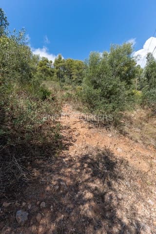 Terrain à Bâtir à vendre à Oropesa  - 129 000 € (Ref: 9144916)