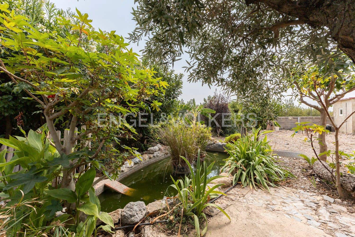 6 bedroom Villa for sale in Casinos with pool garage - € 469,999 (Ref: 9194946)