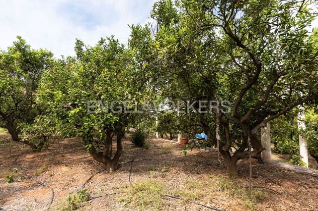 3 chambre Finca/Maison de Campagne à vendre à Alzira avec garage - 157 000 € (Ref: 9207781)