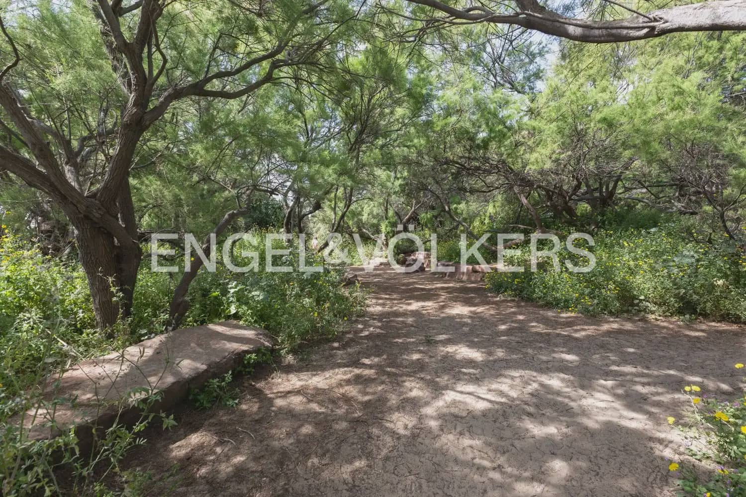 1 bedroom Flat for sale in Valencia city - € 382,200 (Ref: 9897576)