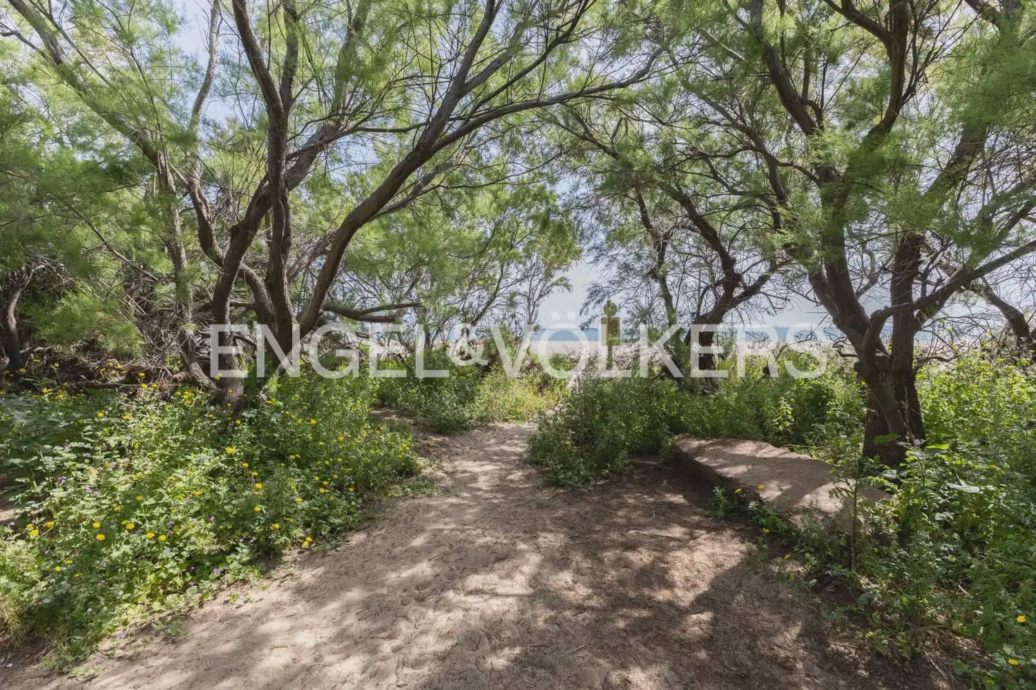 1 bedroom Flat for sale in Valencia city - € 382,200 (Ref: 9897576)