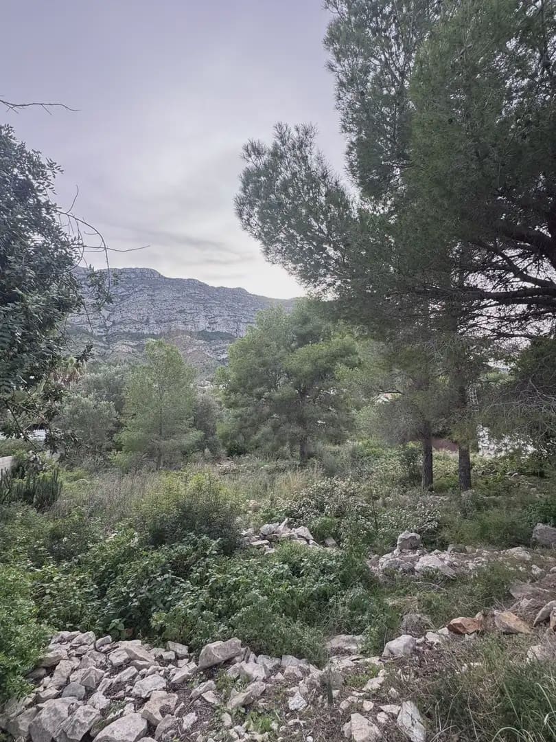 Building Plot for sale in Denia - € 412,500 (Ref: 9897593)