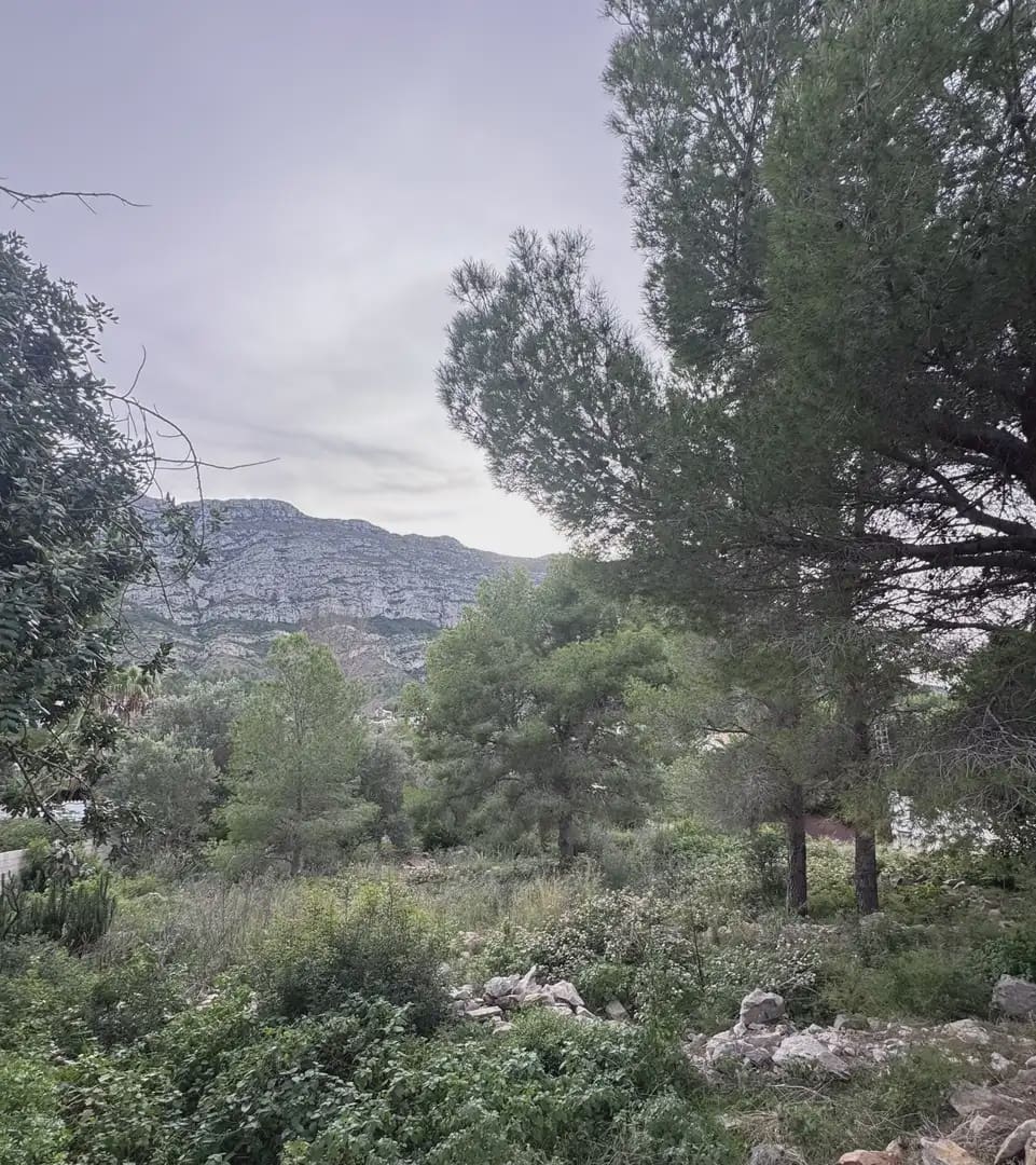 Building Plot for sale in Denia - € 412,500 (Ref: 9897593)