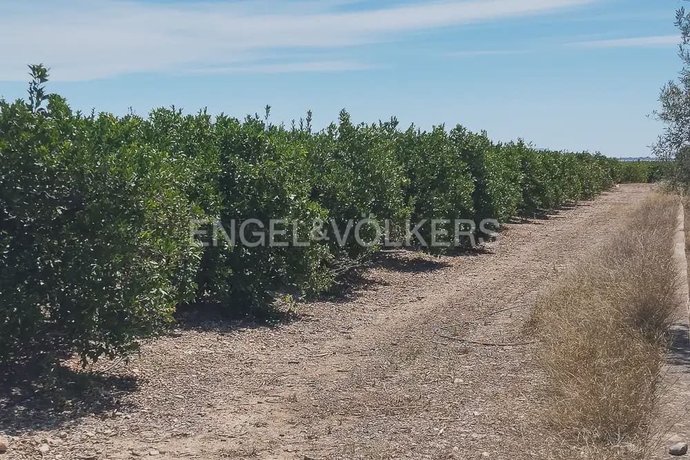 Działka budowlana na sprzedaż w Lliria - 89 900 € (Ref: 9897599)