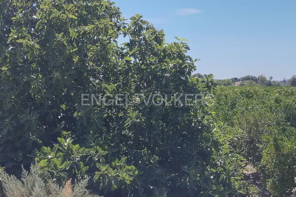 Działka budowlana na sprzedaż w Lliria - 89 900 € (Ref: 9897599)