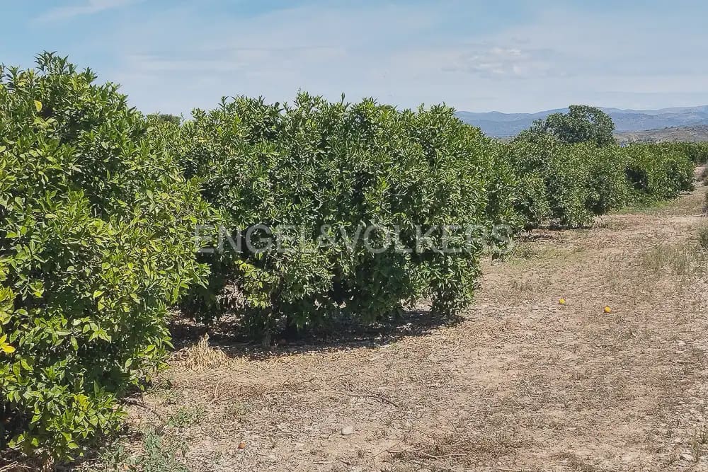Działka budowlana na sprzedaż w Lliria - 89 900 € (Ref: 9897599)