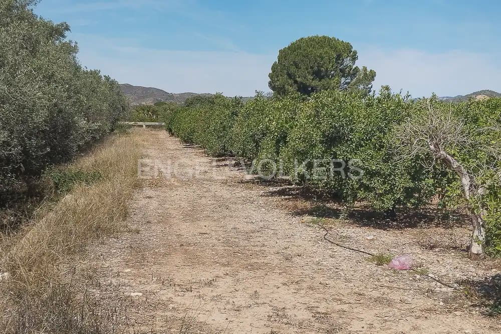 Działka budowlana na sprzedaż w Lliria - 89 900 € (Ref: 9897599)