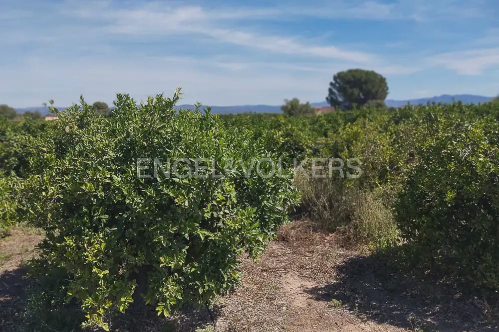 Działka budowlana na sprzedaż w Lliria - 89 900 € (Ref: 9897599)