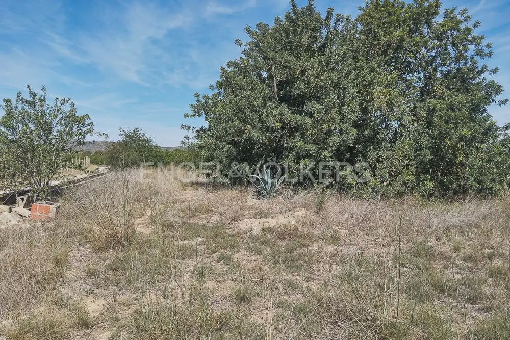 Działka budowlana na sprzedaż w Lliria - 89 900 € (Ref: 9897599)