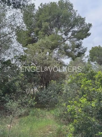Terreno para Construção para venda em Cap Martí - El Tossalet - Pinomar, Javea / Xàbia - 149 000 € (Ref: 9897625)