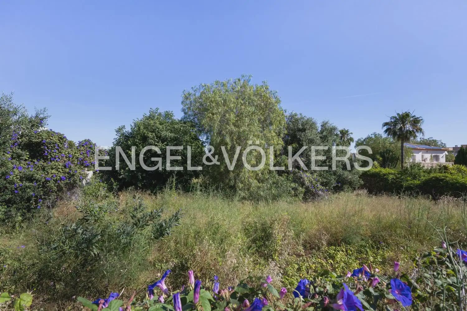 Byggegrund til salg i Denia - € 315.000 (Ref: 9897635)