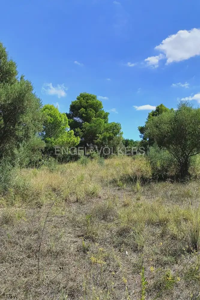 Terreno para Construção para venda em Pedreguer - 185 000 € (Ref: 9897674)