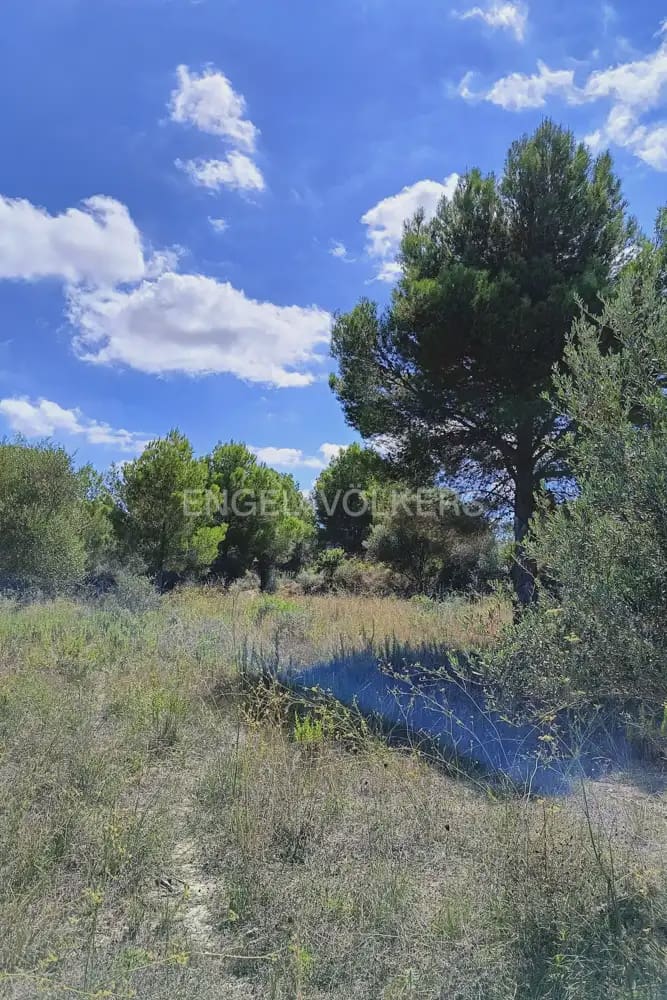 Terreno para Construção para venda em Pedreguer - 185 000 € (Ref: 9897674)