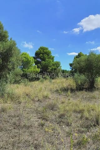 Terreno para Construção para venda em Pedreguer - 185 000 € (Ref: 9897674)