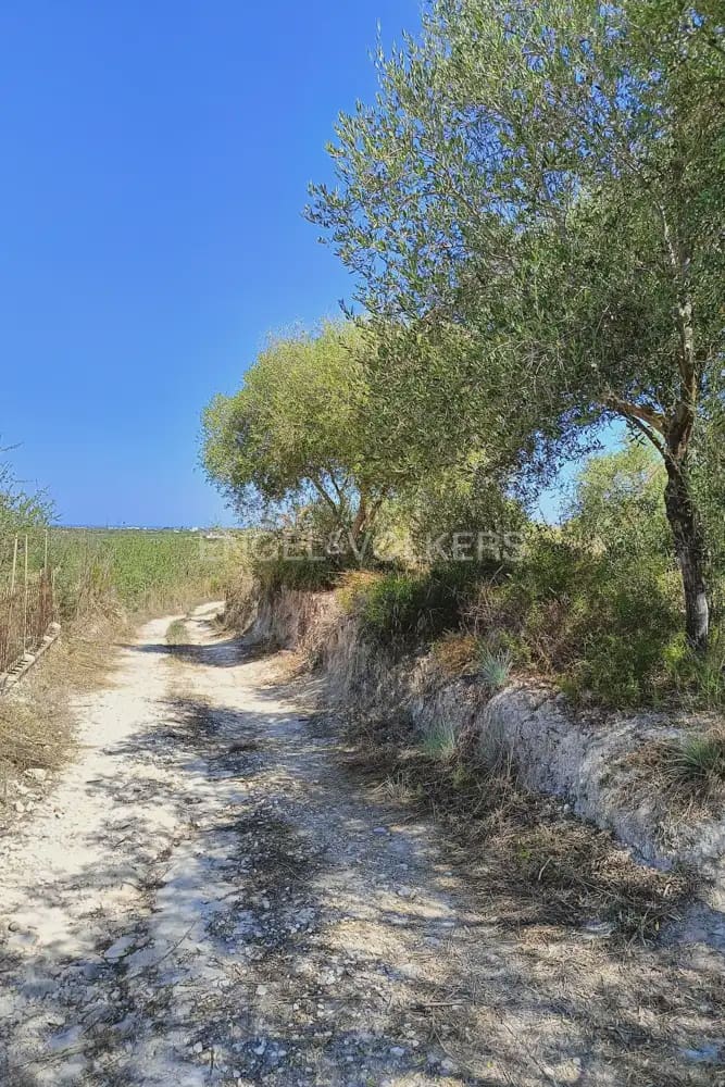 Terreno para Construção para venda em Pedreguer - 185 000 € (Ref: 9897674)