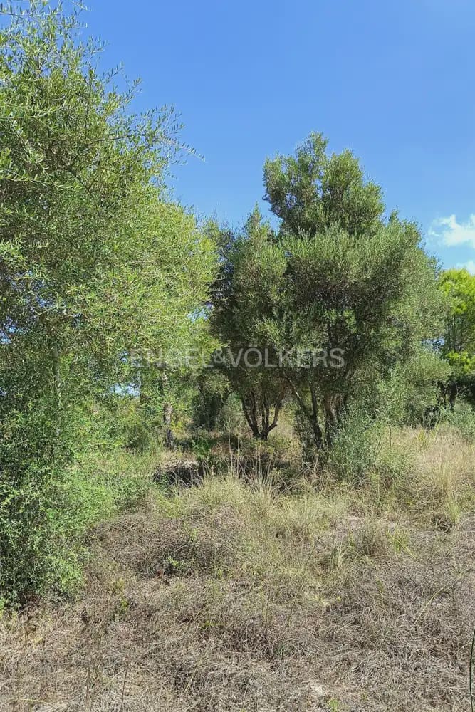 Terreno para Construção para venda em Pedreguer - 185 000 € (Ref: 9897674)