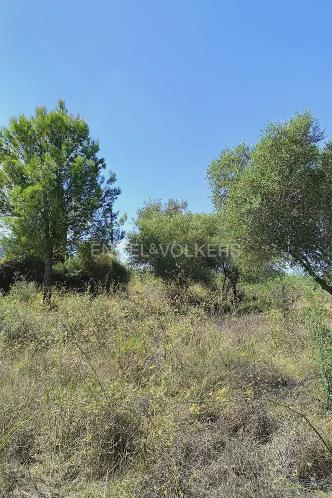 Terreno para Construção para venda em Pedreguer - 185 000 € (Ref: 9897674)