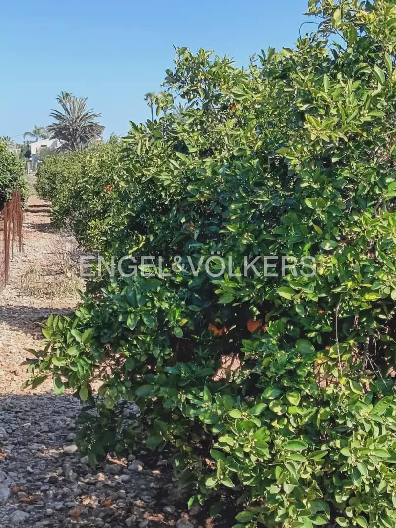 Tontti myytävänä paikassa Els Poblets - 350 000 € (Ref: 9897718)