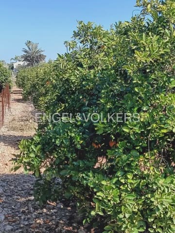 Tontti myytävänä paikassa Els Poblets - 350 000 € (Ref: 9897718)